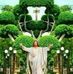 Max Arias - Facebook
