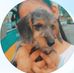Max Asher - Facebook