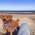 Max Asher - Facebook