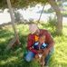 Max Ashley - Facebook
