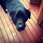 Max Atkins - @_max_55_ - Instagram