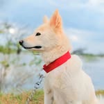@max_babby_ - Instagram