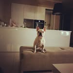 Max - @max.babba - Instagram