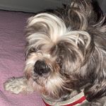 Max - @max.babbyy - Instagram