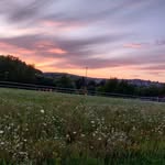 Max - @maxbabbelt - Instagram