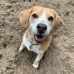 Max.Babbels - @max.babbels - Instagram