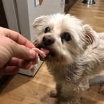 Max Allen Baird - @maxx.baird - Instagram
