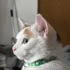 max_baird2321 - @max_baird2321 - TikTok