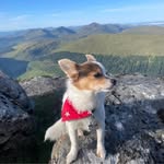 Max Baird - @maximus_doja - Instagram