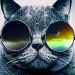 Max Baldwin - @max_baldwin52 - Instagram