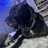 Max - @max.hubbard - TikTok