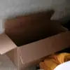 maxbarlow - @maximusbariow - TikTok
