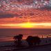 Max Barth - Facebook