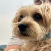 Max Barth - @themax.barth - TikTok