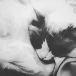 Max bartlett - @mmaxbbartlett - Instagram