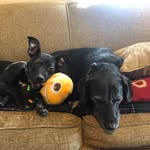 Max Bartley - @finchandlily - Instagram