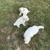 Max Bauer - @max.bauer306 - TikTok
