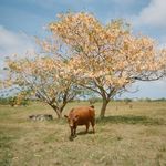 Max Beach - @maxbeachphoto - Instagram