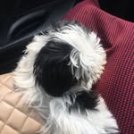Max Belkin - @maxbelkin__ - Instagram