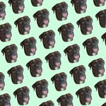 MAX BENJAMIN ORELLANA - @max_orellana06 - Instagram