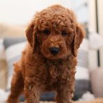 Max Benner - @maxbenner1010 - Instagram