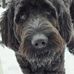 Max Benson - Facebook