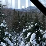 Maxime Bergeron - Facebook
