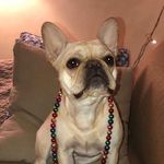 Steven Flynn Max Bergman-Moe - @steven_beven_cleven - Instagram