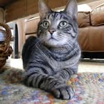 Max Bernard - @maxbernard.cat - Instagram