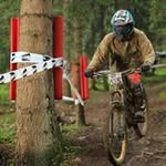 Max Bernardi - @max.bernardi - Instagram