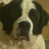 Max - @maxthebernard - TikTok