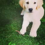 Max - @max___best___ - Instagram