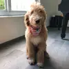 Maxi Beyer - @maxi.beyer17 - TikTok