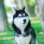 Bianco Nero Max Royal Family - @max_bianco_nero - Instagram