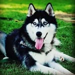 Max Bianco Nero - @max.bianconero - Instagram