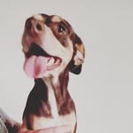 maxbiancolin - @maxbiancolin - Instagram