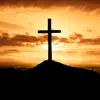 Max_official - @biblewithmaxwell2 - TikTok