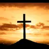 Max_official - @biblewithmaxwell - TikTok