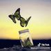 Maxamed Bille Maxamad - Facebook