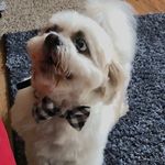 Max Birnbaum - @hello_me_max - Instagram