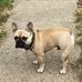 Max Bishop - Facebook