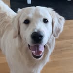 Max - @max.bitarn - Instagram