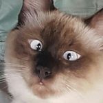 MAX - @max_bizco - Instagram