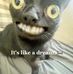 Max Blevins - Facebook