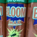 Max Bloom - @mu51kman - Instagram