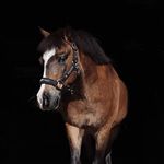 🙆‍Julia Stachura & Max Blue 🐴 - @_max_blue - Instagram