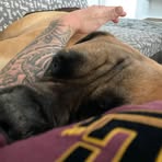 Max Blue - Facebook