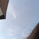 Max_Blm - @max_blume_ - Instagram