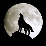 Max Blume - @maxblume00 - Instagram
