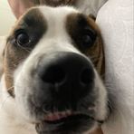 Max Bode - Facebook